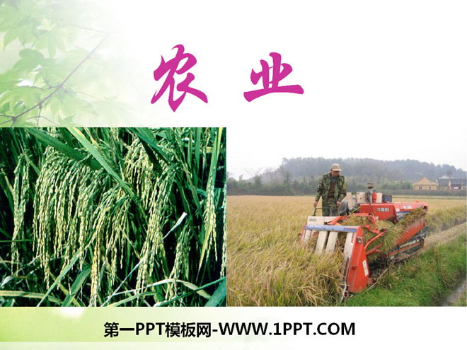 《农业》中国的经济发展PPT课件8