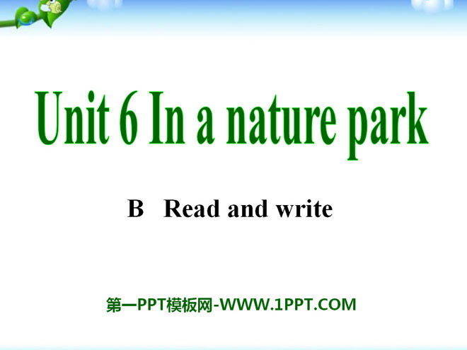 《In a nature park》PPT课件11