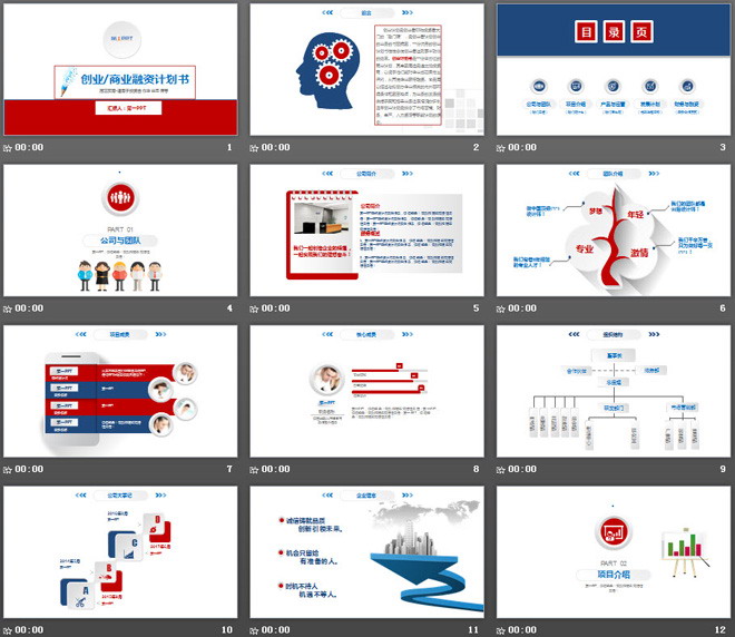 紅藍(lán)微立體創(chuàng)業(yè)融資計劃書PPT模板
