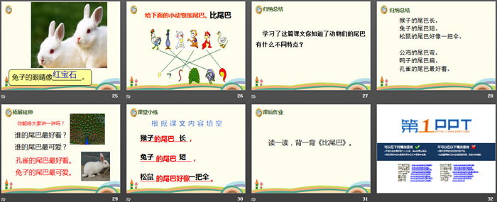 《比尾巴》PPT