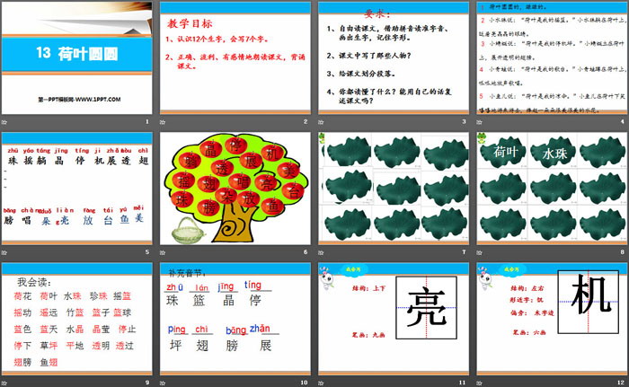 《荷葉圓圓》PPT