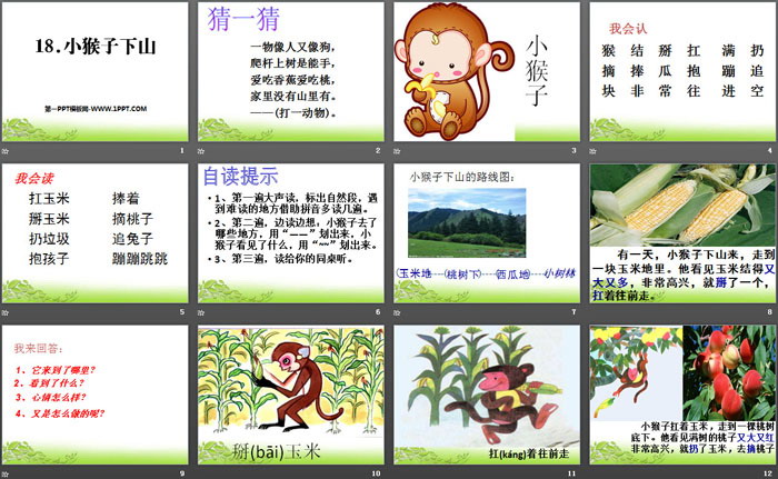 《小猴子下山》PPT