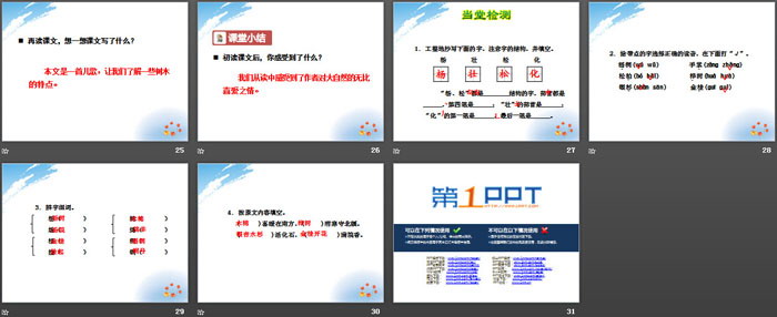 《樹之歌》PPT