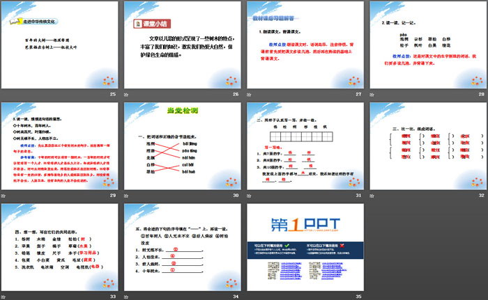 《樹(shù)之歌》PPT課件