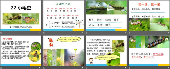 《小毛蟲(chóng)》PPT