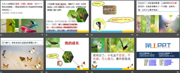 《小毛蟲(chóng)》PPT