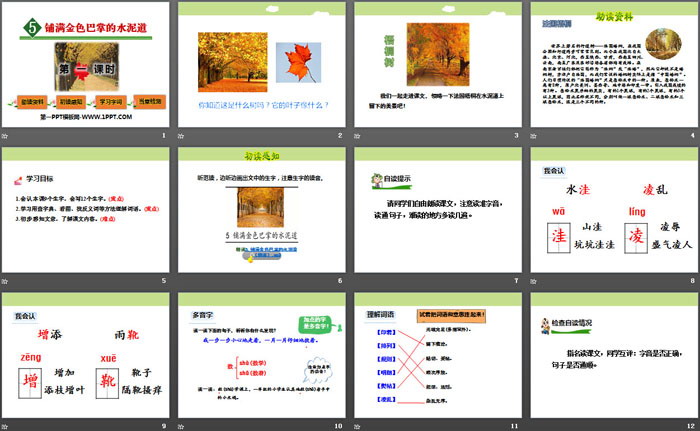 《鋪滿金色巴掌的水泥道》PPT