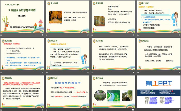 《鋪滿金色巴掌的水泥道》PPT(第二課時)