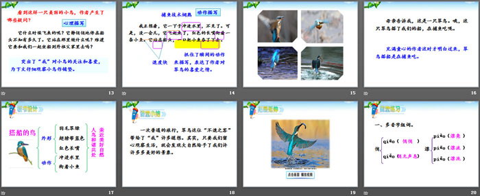 《搭船的鳥》PPT教學(xué)課件
