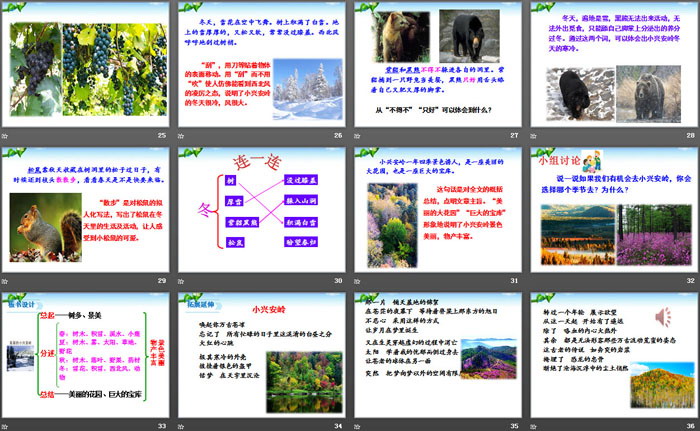 《美麗的小興安嶺》PPT
