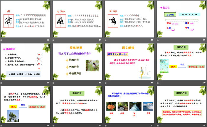 《大自然的聲音》PPT