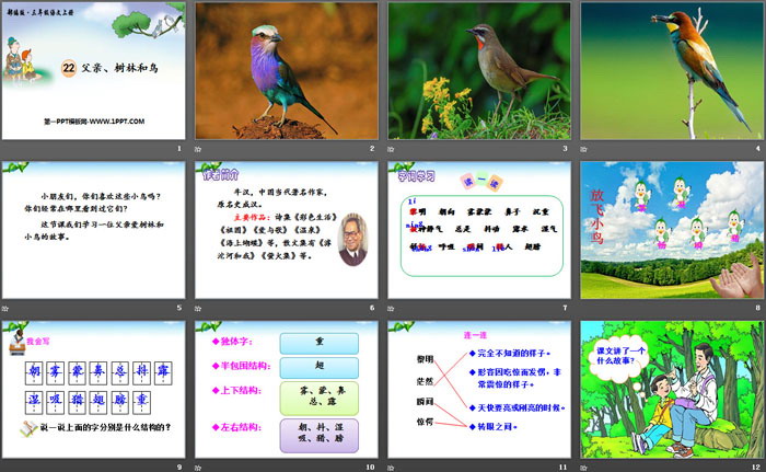 《父親、樹林和鳥》PPT課件