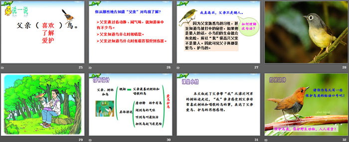 《父親、樹林和鳥》PPT課件