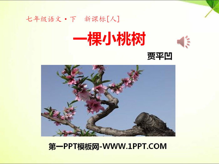 《一棵小桃树》PPT课件