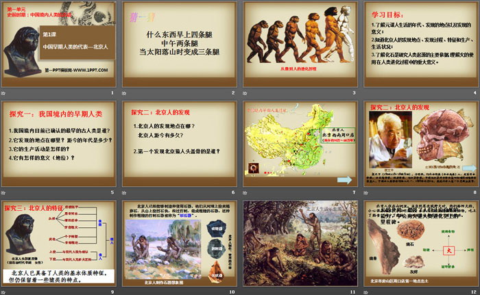《中国早期人类的代表—北京人》PPT