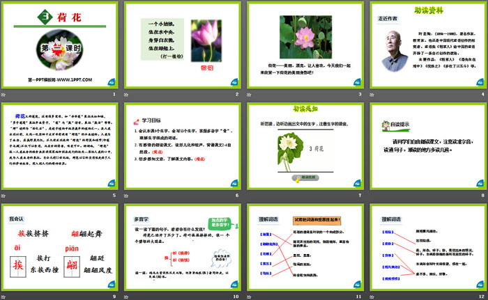 《荷花》PPT(第一課時(shí))