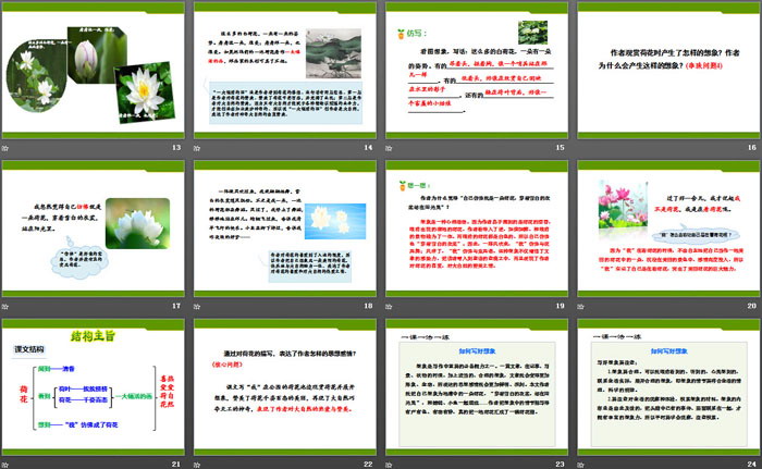 《荷花》PPT(第二課時)