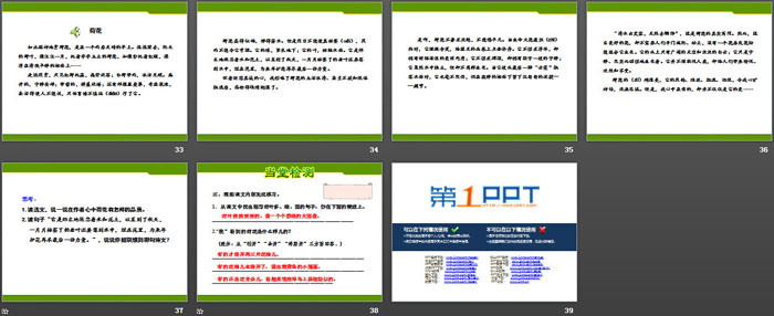 《荷花》PPT(第二課時)