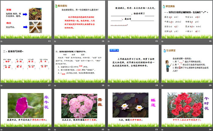 《花钟》PPT
