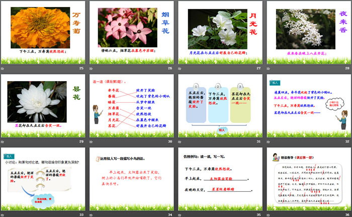 《花钟》PPT
