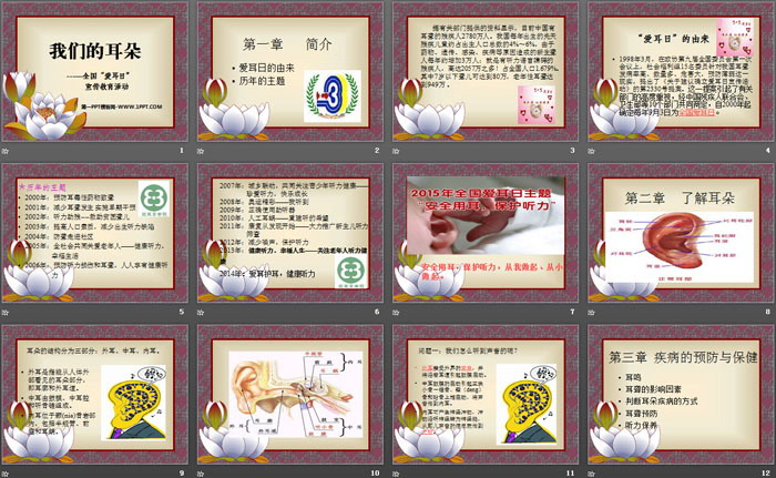 《我们的耳朵》PPT