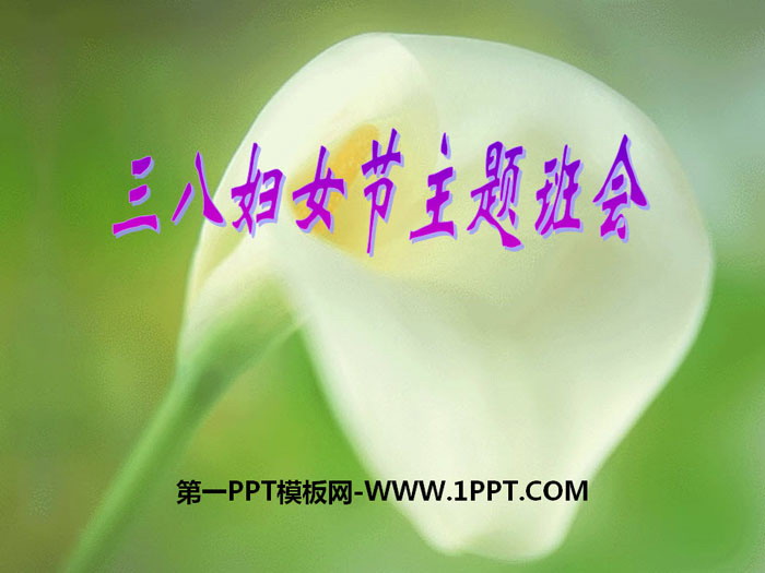 《三八婦女節(jié)主題班會(huì)》PPT