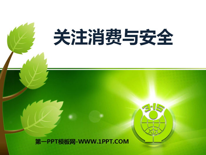 《關(guān)注消費與安全》PPT