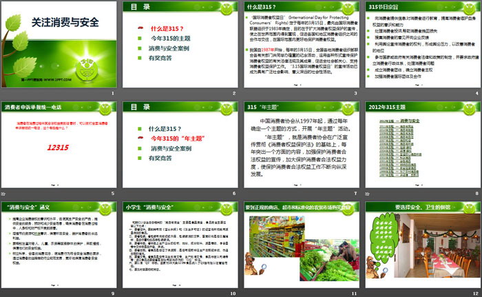 《關(guān)注消費(fèi)與安全》PPT