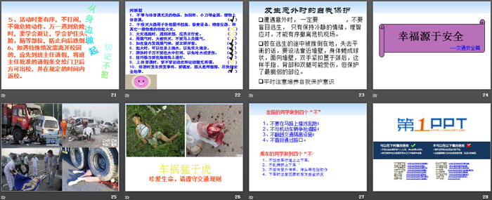 《秩序就是生命》PPT