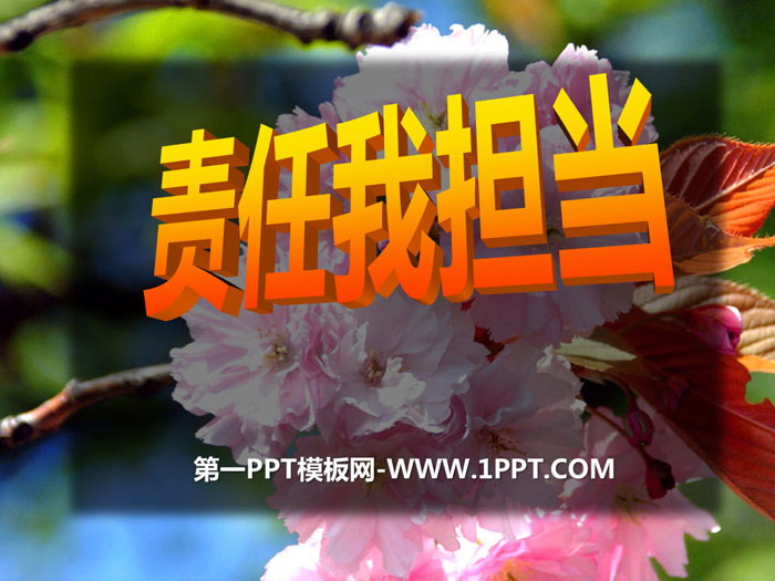 《責任我擔當》PPT