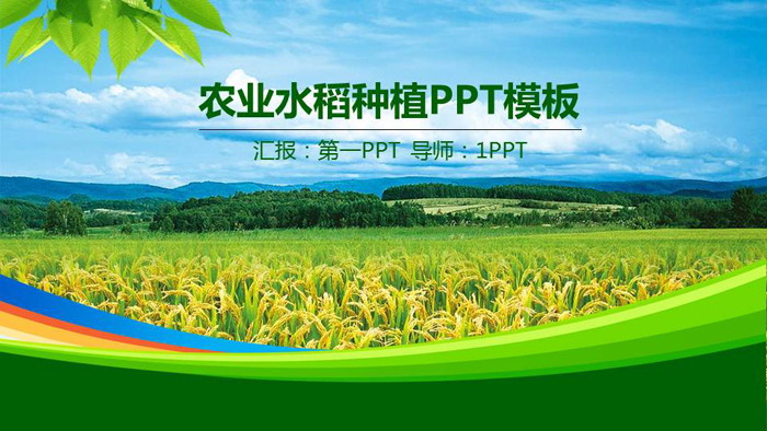 綠色稻田背景的農業PPT模板