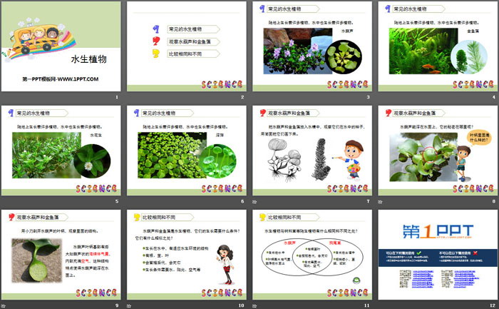 《水生植物》植物PPT