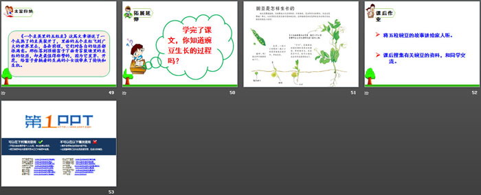 《一個豆莢里的五粒豆》PPT課件下載