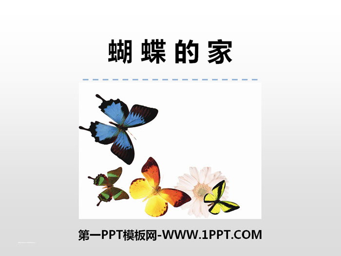 《蝴蝶的家》PPT教学课件