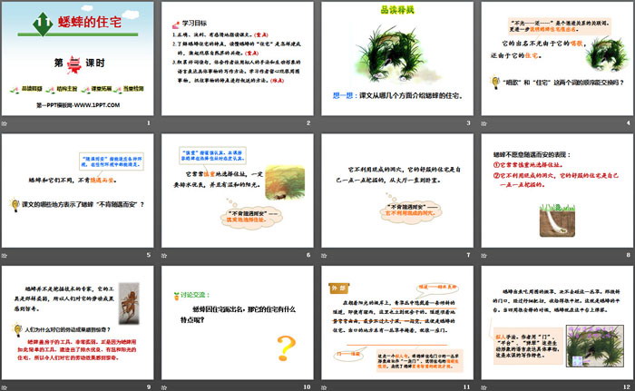 《蟋蟀的住宅》第二課時(shí)PPT