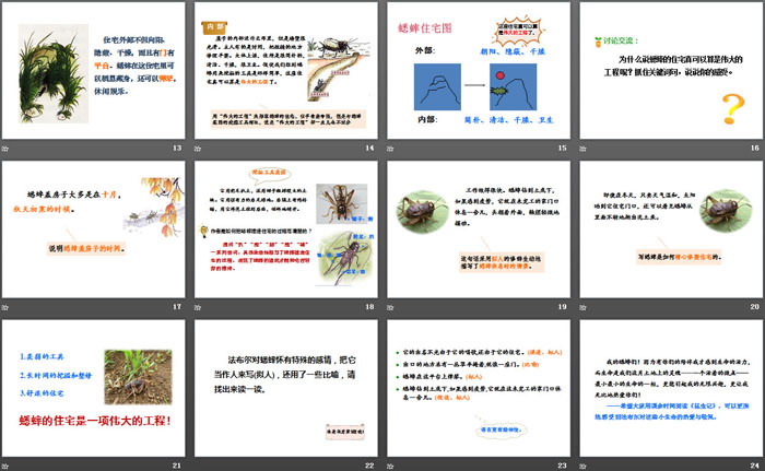 《蟋蟀的住宅》第二課時(shí)PPT