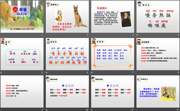 《麻雀》PPT