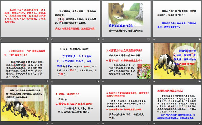 《麻雀》PPT