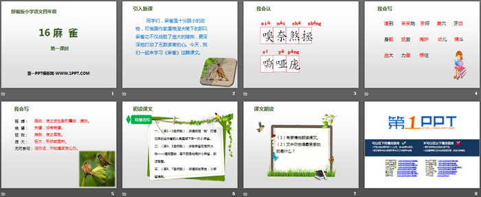 《麻雀》第一課時(shí)PPT