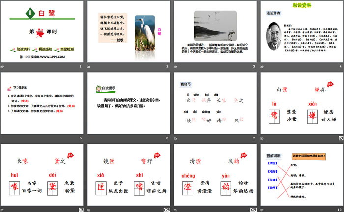 《白鷺》第一課時PPT