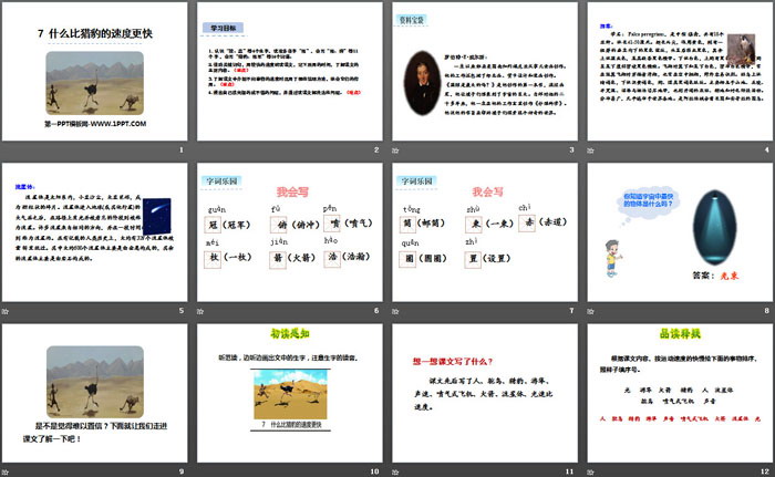 《什么比獵豹的速度更快》PPT
