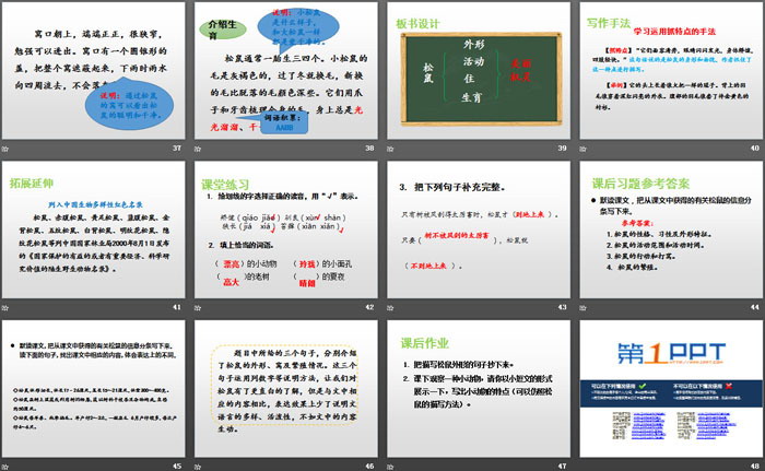 《松鼠》PPT免費課件下載