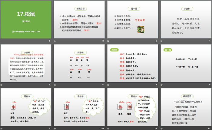 《松鼠》第一課時(shí)PPT