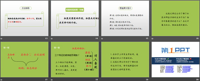 《松鼠》第一課時(shí)PPT