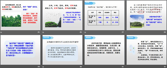 《鳥的天堂》PPT