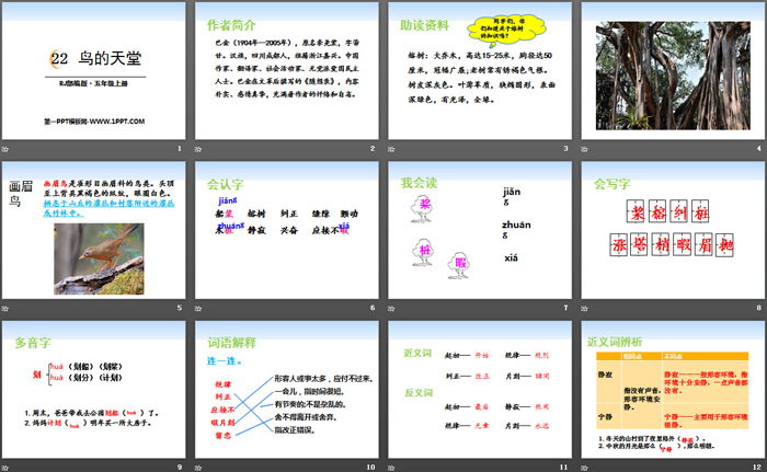 《鳥的天堂》PPT下載