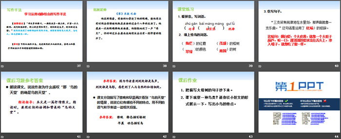 《鳥的天堂》PPT下載