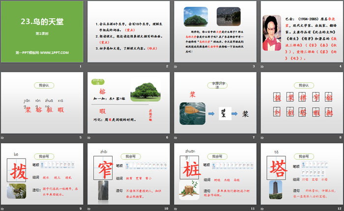 《鳥的天堂》第一課時(shí)PPT