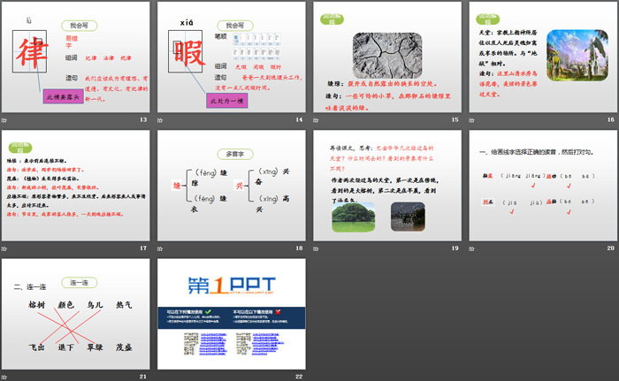 《鳥的天堂》第一課時(shí)PPT