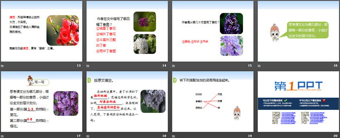 《丁香結(jié)》PPT